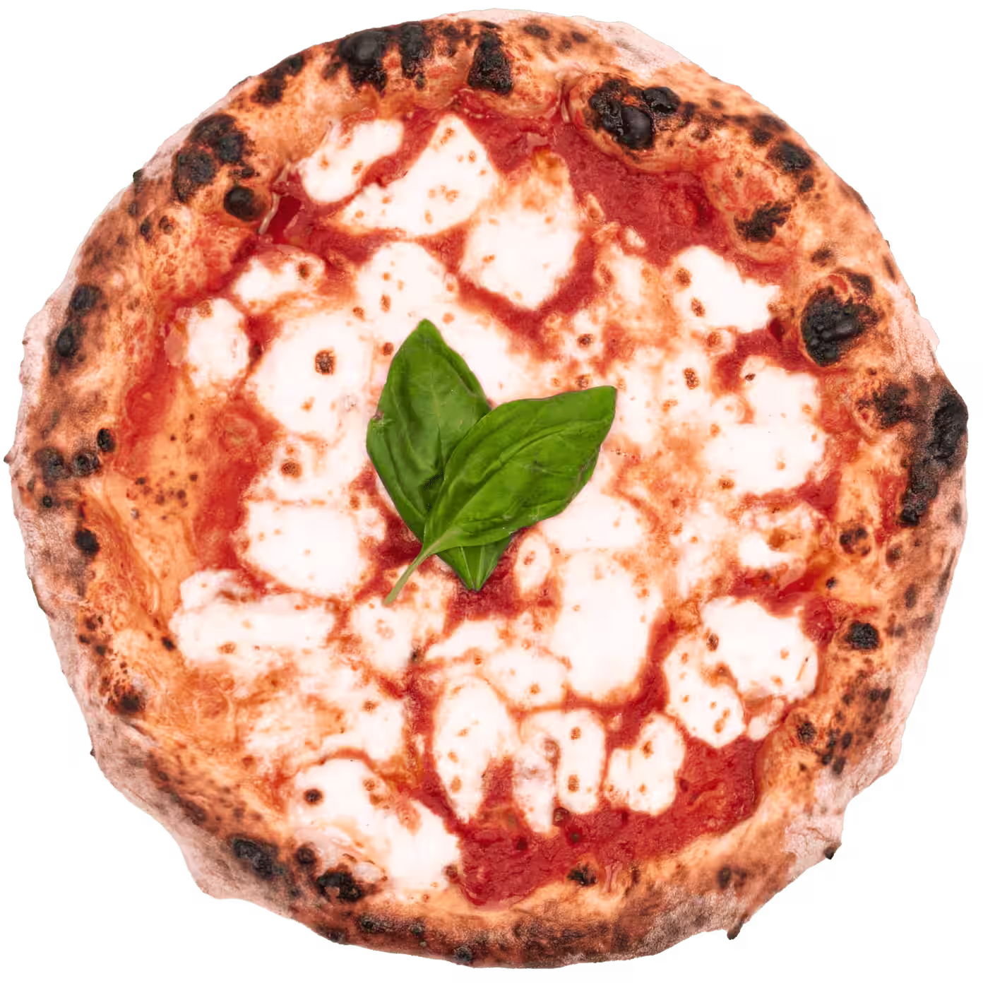 Pizza Margherita