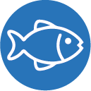 pesce